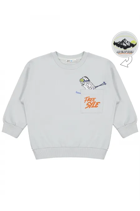 Erkek Çocuk Sweatshirt 2-5 Yaş Açık Gri - Paket