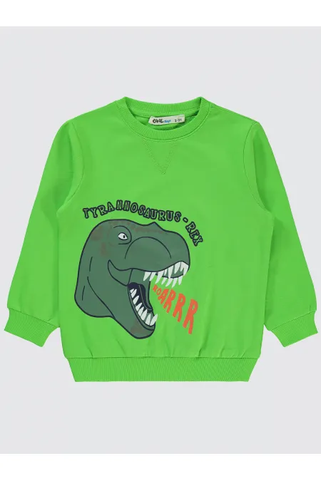 Boy Sweatshirt 2-5 Years Old Lime Green - Pack