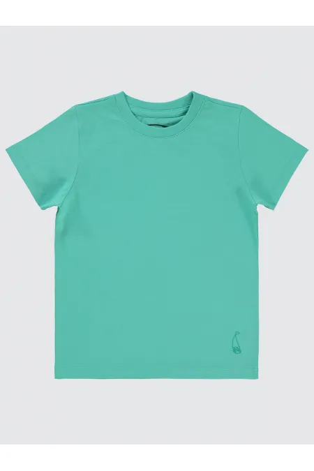 Lot de T-shirts pour garçons de 2 à 5 ans, couleur menthe