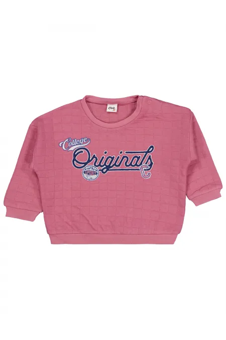 Bebek Sweatshirt 0-24 Ay Gül Kurusu - Paket