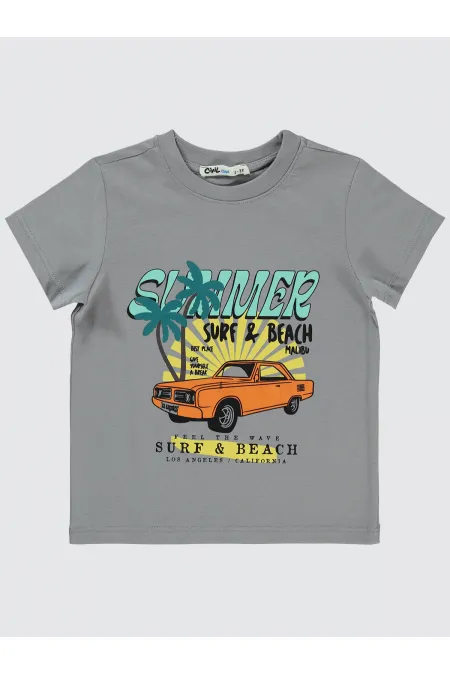 Boy T-Shirt 2-5 Years Old Gray - Pack