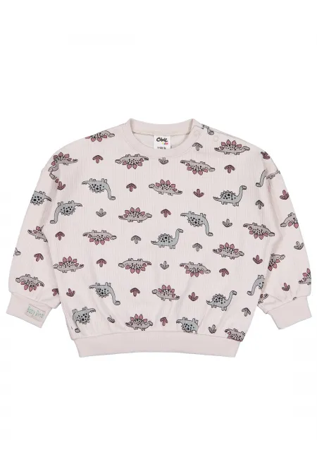 Bebek Sweatshirt 0-24 Ay Taş Rengi - Paket