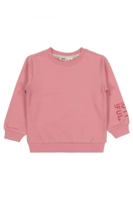 Kız Çocuk Sweatshirt 2-5 Yaş Gül Kurusu - Paket