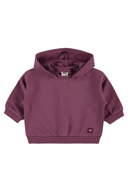 Bebek Sweatshirt 0-24 Ay Koyu Gül Kurusu - Paket