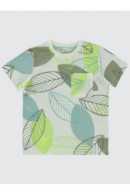 Boys T-Shirt 2-5 Years Old Light Almond Green - Package Boys T-Shirt 2-5 Years Old Light Almond Green - Package