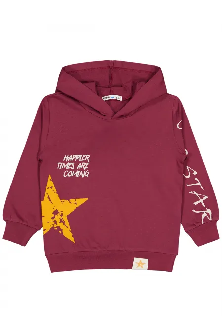 Erkek Çocuk Sweatshirt 2-5 Yaş Bordo - Paket