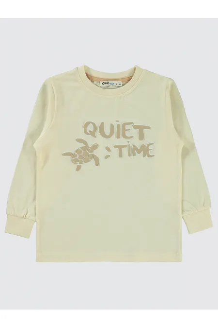 Erkek Çocuk Sweatshirt 2-5 Yaş FilDişi - Paket