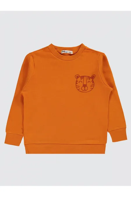 Boys Sweatshirt 2-5 Years Old Dark Orange - Package