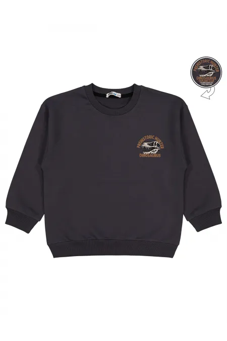Erkek Çocuk Sweatshirt 6-9 Yaş Antrasit - Paket