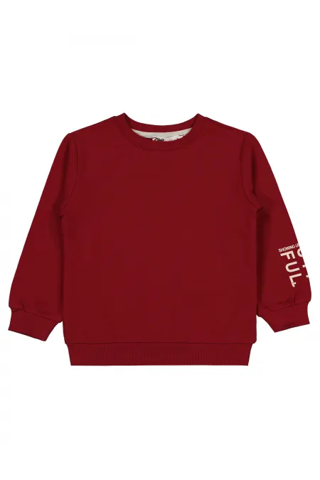 Kız Çocuk Sweatshirt 2-5 Yaş Koyu Bordo - Paket