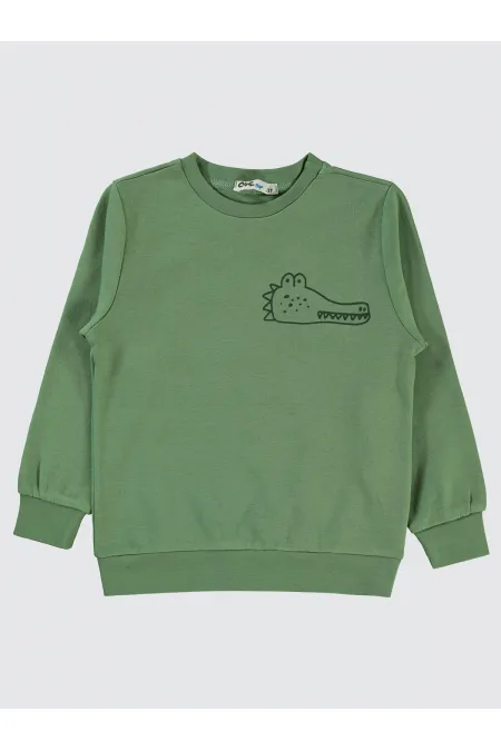Erkek Çocuk Sweatshirt 2-5 Yaş Açık Haki - Paket