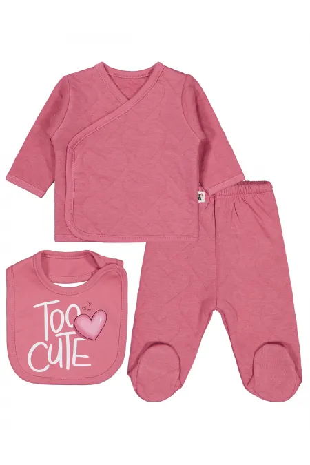 Baby Bodysuit Sets 0-24 Months Dusty Rose - Package