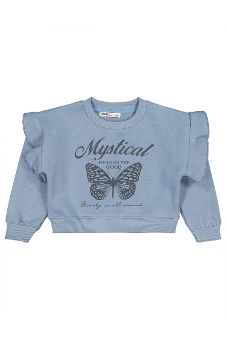 Kız Çocuk Sweatshirt 2-5 Yaş Mavi - Paket