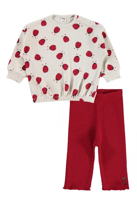 Baby Outfit 0-24 Months Stone Color - Package