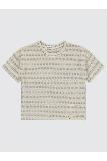 Boy T-Shirt 2-5 Years Old Gray - Pack