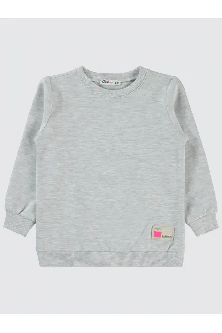 Kız Çocuk Sweatshirt 2-5 Yaş Ekrumelanj - Paket