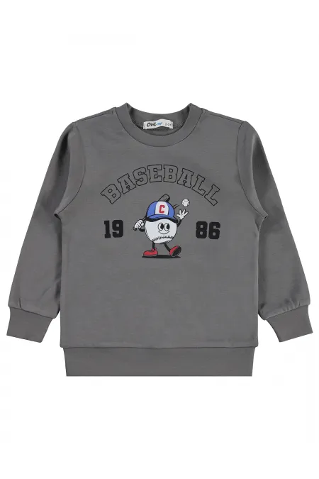 Erkek Çocuk Sweatshirt Km 2-5 Yaş Gri - Paket