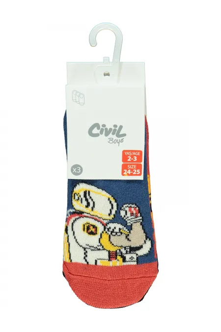 Erkek Çocuk Babet Çorap 2-9 Yaş Standart - Paket