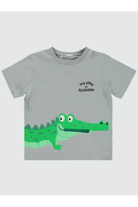 Lot de T-shirts gris teints pour garçon de 2 à 5 ans