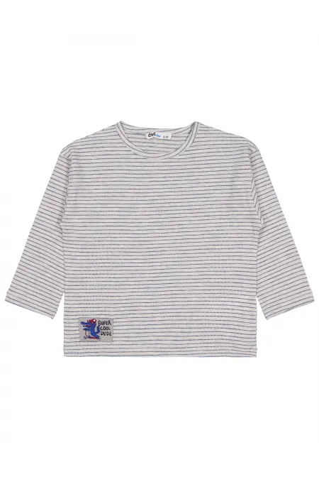 Erkek Çocuk Sweatshirt 2-5 Yaş Karmelanj - Paket