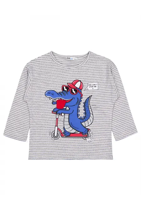 Erkek Çocuk Sweatshirt 2-5 Yaş Karmelanj - Paket