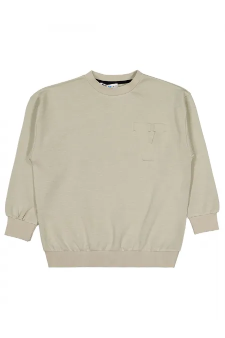 Erkek Çocuk Sweatshirt 10-13 Yaş Taş Rengi - Paket