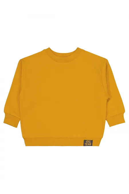 Sweat-shirt garçon 2-5 ans moutarde - Lot