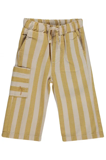 Baby Pants 0-24 Months Mustard - Pack