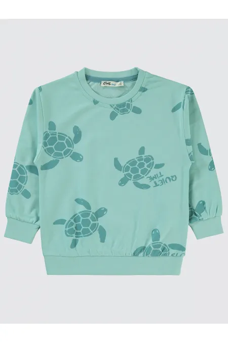 Erkek Çocuk Sweatshirt 2-5 Yaş Turkuaz - Paket