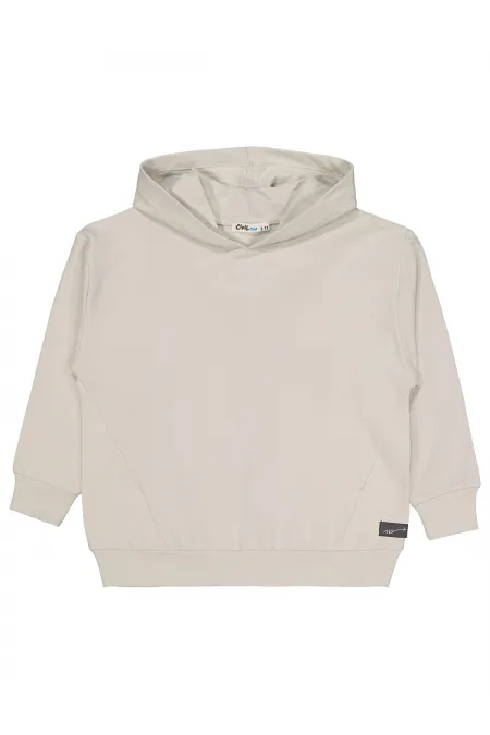 Sweat-shirt garçon 10-13 ans Gris clair - Emballage