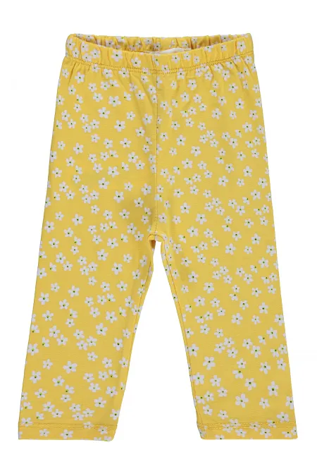 Baby Leggings 0-24 Months Yellow - Pack