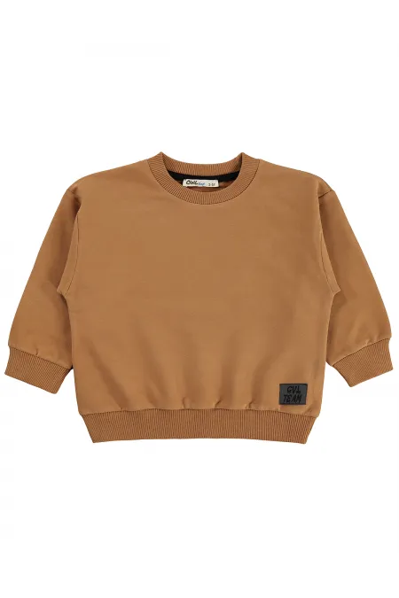 Erkek Çocuk Sweatshirt 2-5 Yaş Koyu Kahve - Paket
