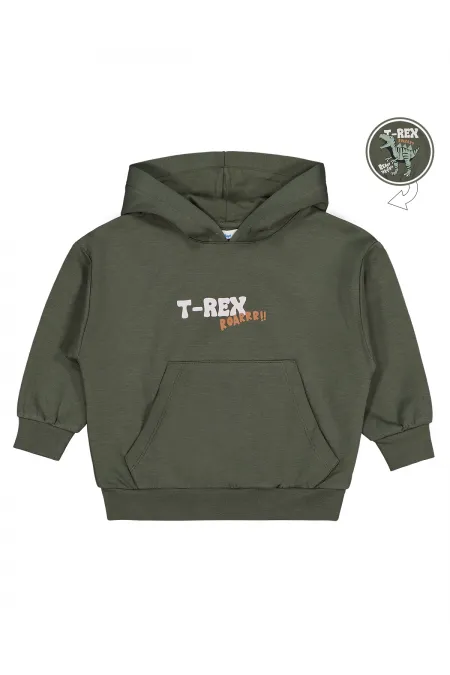 Erkek Çocuk Sweatshirt 2-5 Yaş Koyu Haki - Paket
