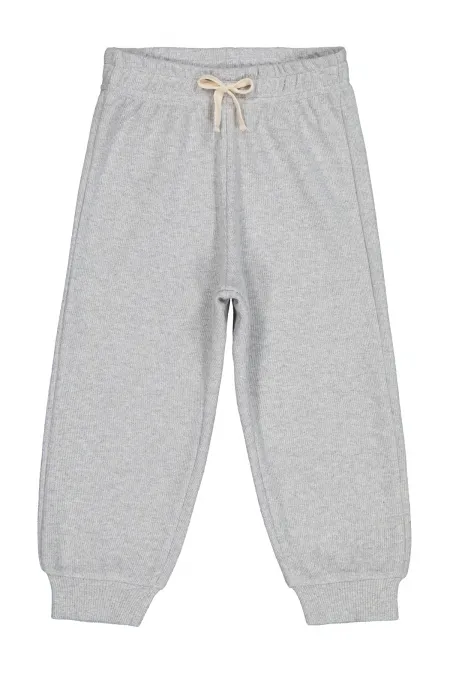 Bas de survêtement gris pour garçon de 2 à 5 ans - Lot