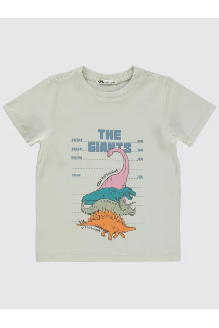 Boys T-Shirt 2-5 Years Old Light Gray - Pack