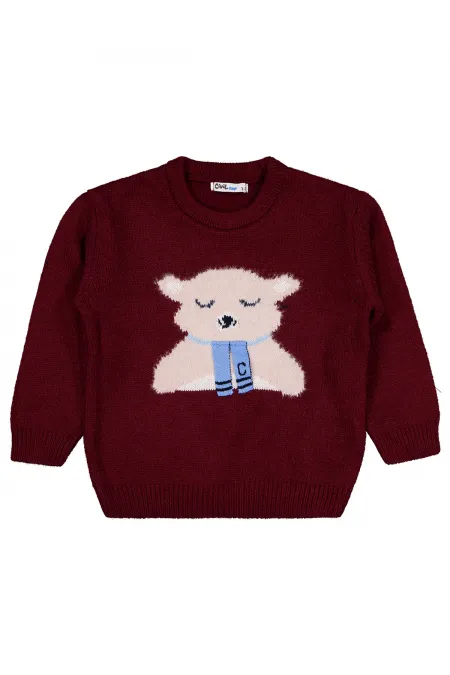 Pull garçon bordeaux 2-5 ans - Emballage