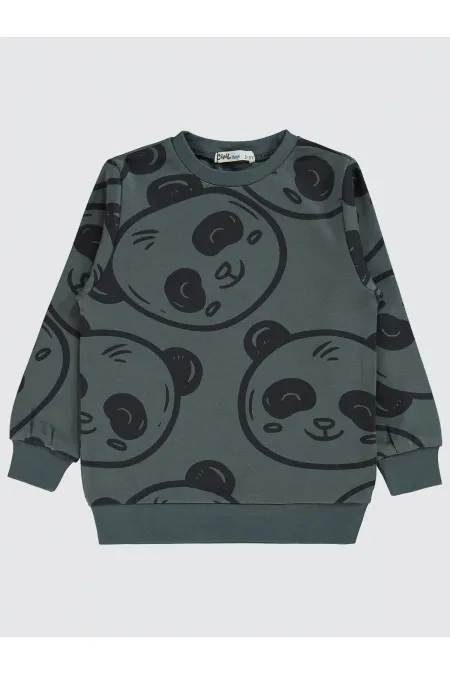 Erkek Çocuk Sweatshirt 2-5 Yaş Antrasit - Paket