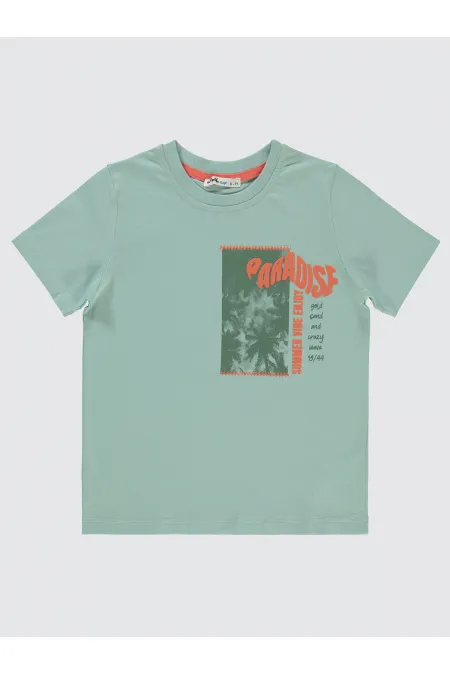 Boys T-Shirt 6-9 Years Old Light Almond Green - Package