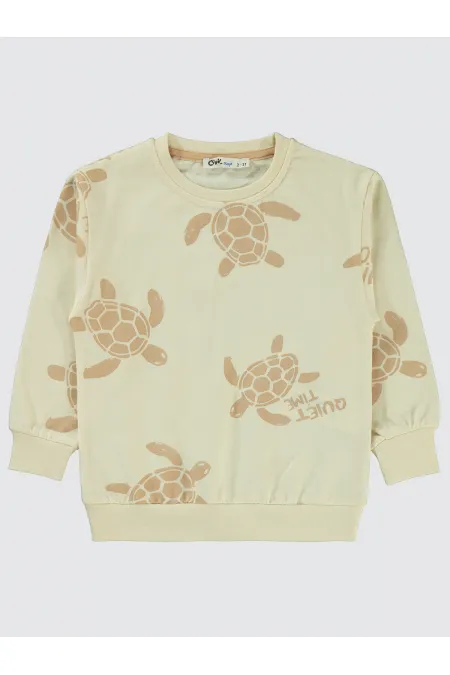 Erkek Çocuk Sweatshirt 2-5 Yaş FilDişi - Paket