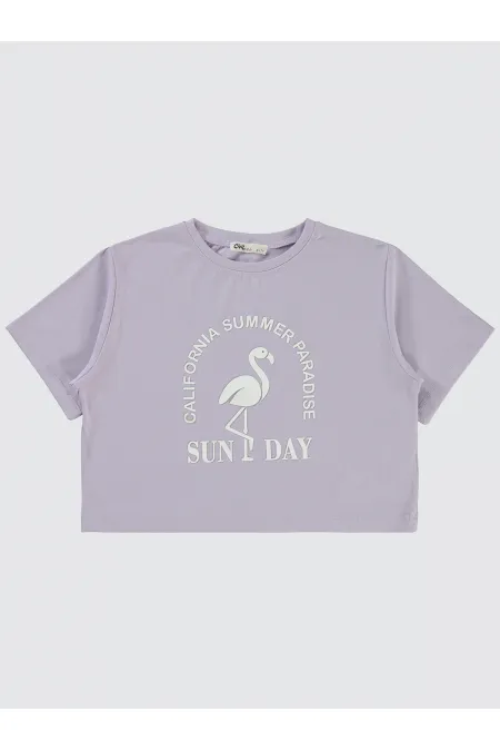 Kız Çocuk Tişört 10-13 Yaş Lila - Paket