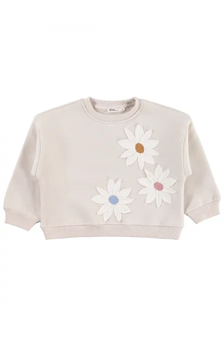Kız Çocuk Sweatshirt 2-5 Yaş Taş Rengi - Paket