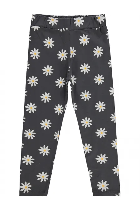 Leggings pour filles, 6-9 ans, anthracite - Lot
