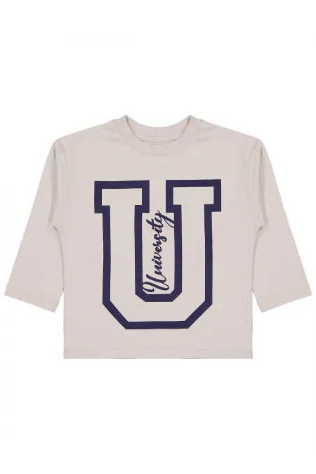 Erkek Çocuk Sweatshirt 2-5 Yaş Taş Rengi - Paket