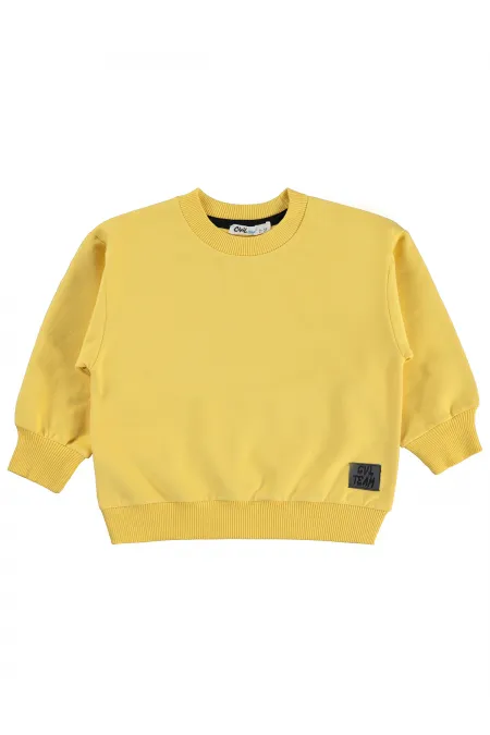 Erkek Çocuk Sweatshirt 2-5 Yaş Hardal - Paket
