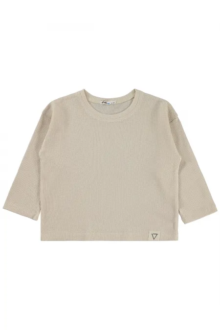 Erkek Çocuk Sweatshirt 2-5 Yaş Bej - Paket