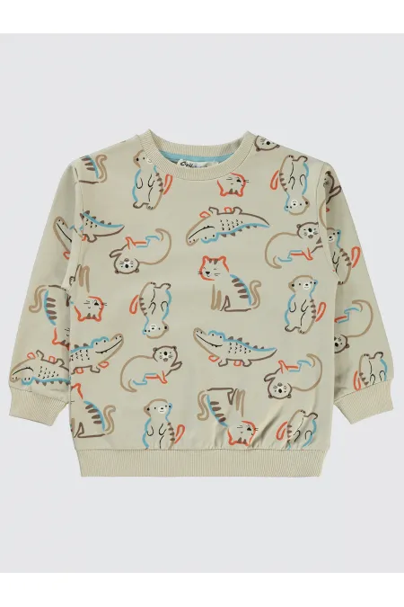 Boy Sweatshirt 2-5 Years Blue - Package