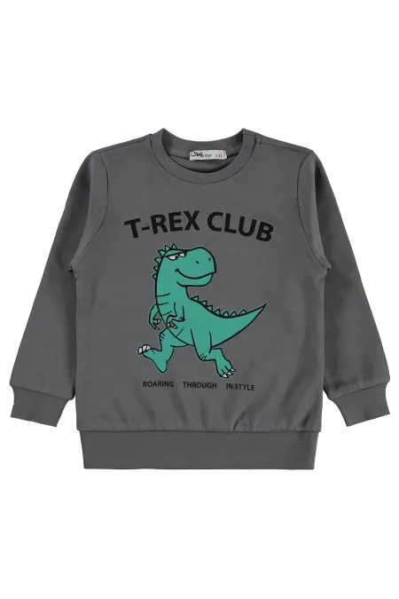 Erkek Çocuk Sweatshirt Km 2-5 Yaş Gri - Paket