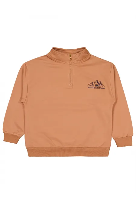 Erkek Çocuk Sweatshirt 6-9 Yaş Tarçın - Paket