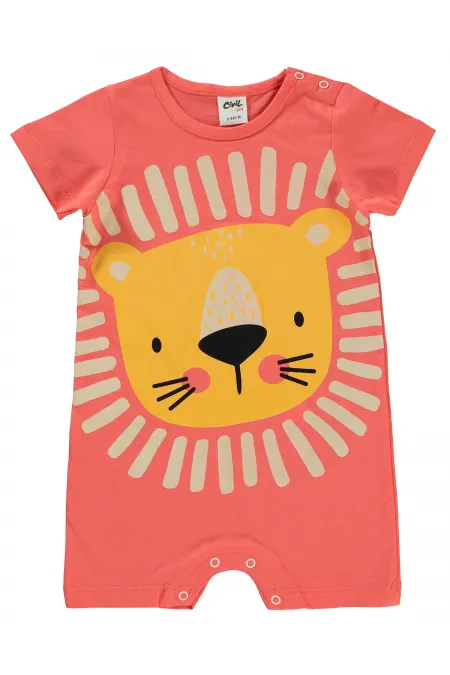 Bebek Tulum 0-24 Ay Yavruagzı - Paket