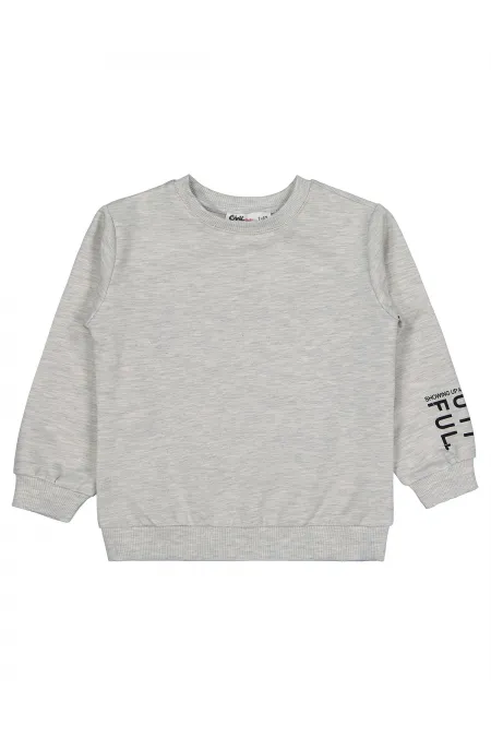 Kız Çocuk Sweatshirt 2-5 Yaş Ekrumelanj - Paket